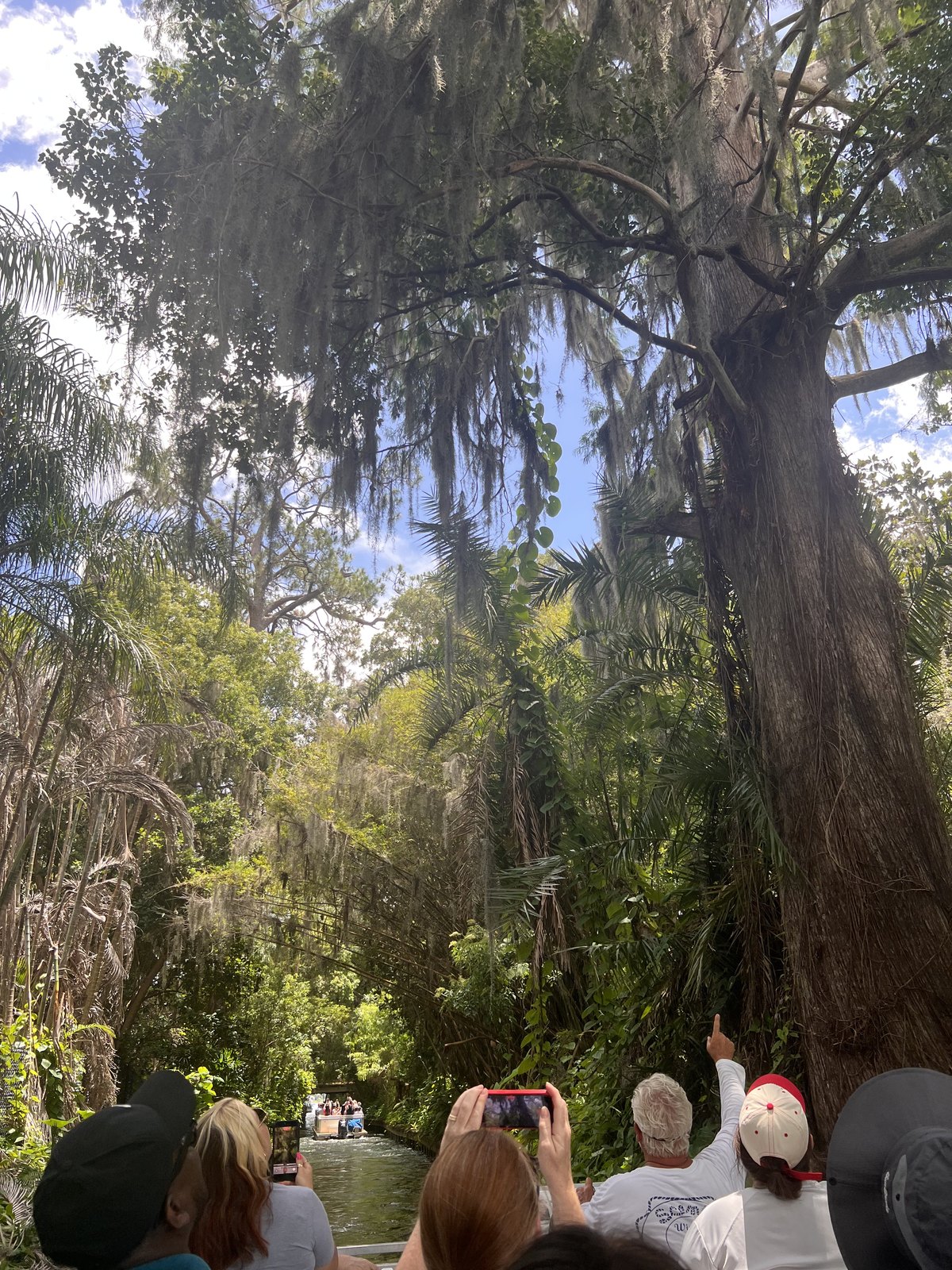 A scenic boat ride beneath trees in Winter Park, Florida